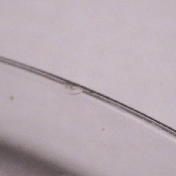 Hoya Crystal Etched Plate Flower of The Month February Crocus Signed T Yamamoto - Picture 5 of 5